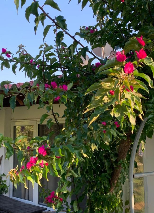 فيلا La Casa Di Mare آغيوس غوذيوس المظهر الخارجي الصورة
